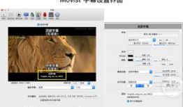 爱爱视频播放器,轻松享受视听盛宴的利器